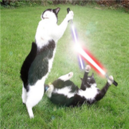 Jedi Cats Roblox decal