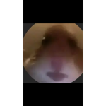 Real slimes only