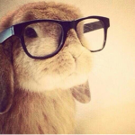 #bunni