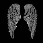 -+Starlight Clothing+-
