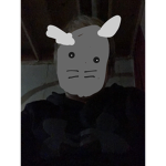 Cult of the gray cat