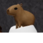 Capibara Clothes