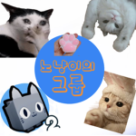 노냥이의 그룹