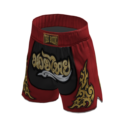 Muay Thai Shorts Red thumbnail