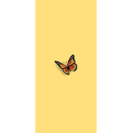 ___butterflies___