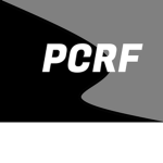 Professional Competitive Roblox Football