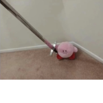 dankly kirby