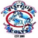 WestField Colts F.C