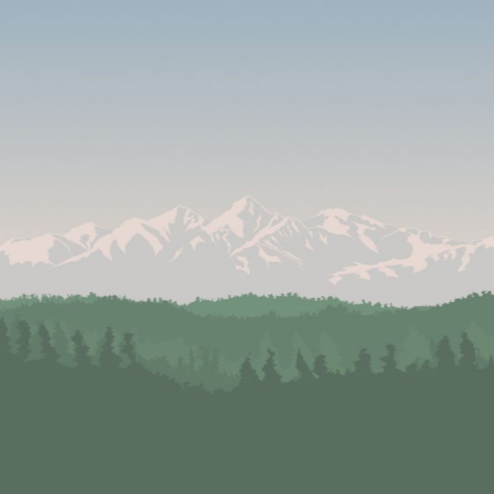 [IKO] view Roblox decal