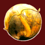 Burma Ministry of Foreign Affairs