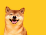 The_DogeBros