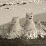 .winterfiles