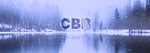 CBB GANG Group