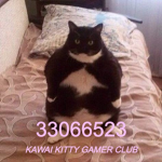 kawaii kitty gamer club