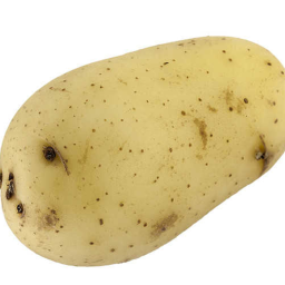[NEW] Potato Farm Simulator