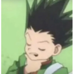 Gon & killua