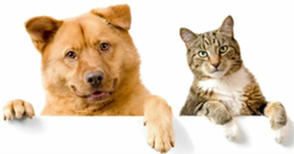 Hmmm do you prefer dogs or cats? Roblox group icon