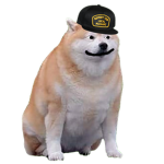chuncky doge