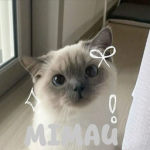 mimau