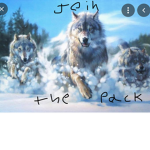 The Pack Of Wolfs (: