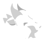 Roaring Dragon Studio