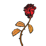 Fiore Province