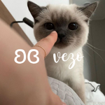 ʚɞ vezo