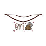 bri necklace 1.0