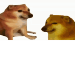 The doge games