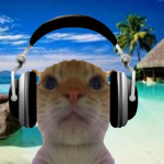 GamerSquad#