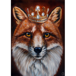 fox kingdom
