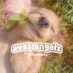 •avas angelz•