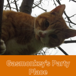 Gasmonkeys party place