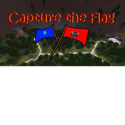 Capture the flag (New)
