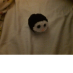 Penguin's!