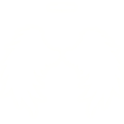 GLOWING White Wings w/ Halo (GLOWS)