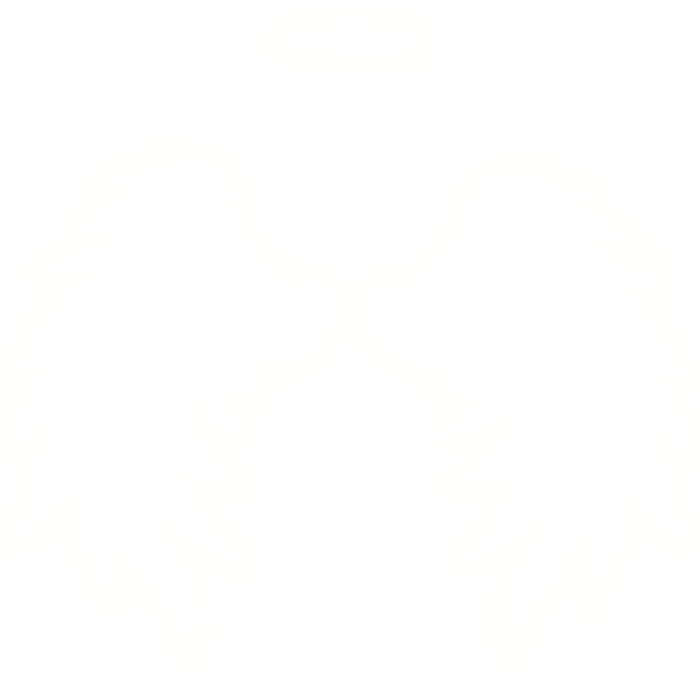 GLOWING White Wings w/ Halo (GLOWS)