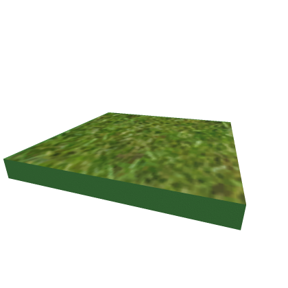 Grass