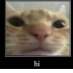 Da epic cat kings