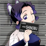 Team sh i no bu