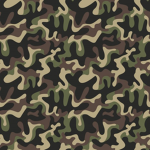 [Exército Brasileiro Divisão]