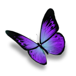 #PurpleButterflySquad