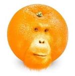 The orange sigmas
