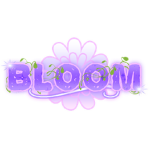 Bloom Development