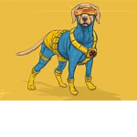 team chiot