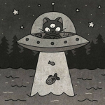 Pet Rock Appreciation Club
