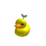 Love ducks forever
