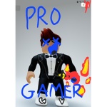 The PRO GAMER playz