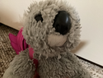 Club of koala