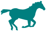 Mustang Jean Co™